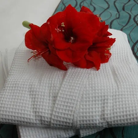 Logis La Croix Blanche 3* 丰特夫罗拉拜