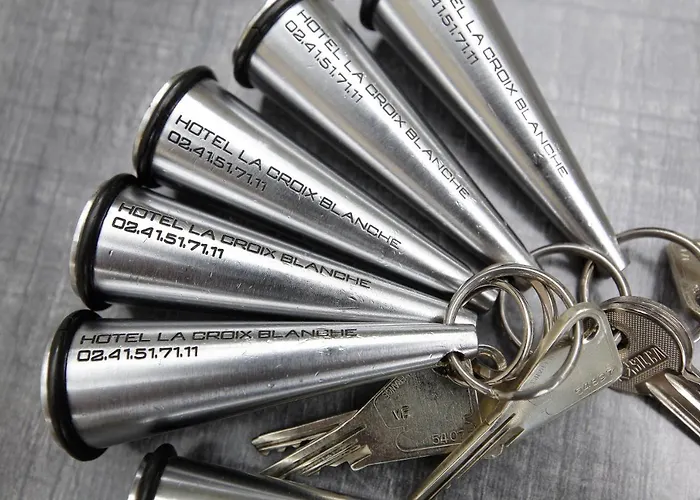 Logis La Croix Blanche Hotel Fontevraud-l'Abbaye