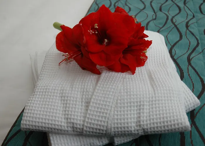 Logis La Croix Blanche 3* Fontevraud-l'Abbaye